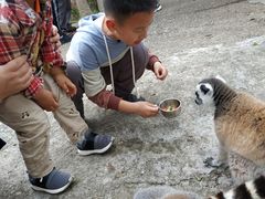 -无锡动物园·太湖欢乐园