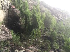 浙东大峡谷-浙东大峡谷风景区