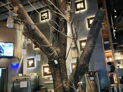 -同仁四季椰子鸡(宝安壹方城店)