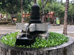 -100蛋泥浆浴