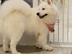 -共舞时光猫咖·狗咖(新街口店)