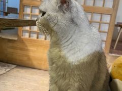 -小时光咖啡馆(开森度假森林店)