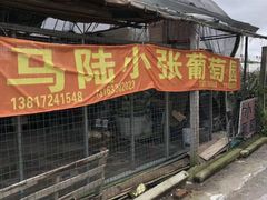 -马陆小张葡萄园农家乐