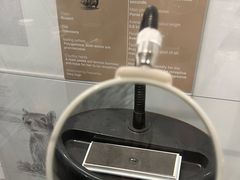-冰岛阴茎博物馆