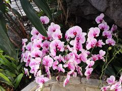 -国家植物园