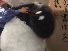 -王家渡火锅店(棕榈泉店)
