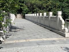 -白水寺森林公园