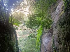 -越王山风景区