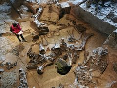 -自贡恐龙博物馆