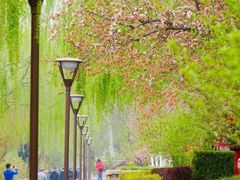 -元大都城垣遗址公园