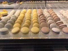 -BLACKSWAN黑天鹅(环球店)