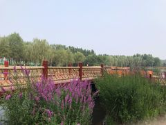 -东郊湿地公园