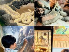 -杭州野生动物世界