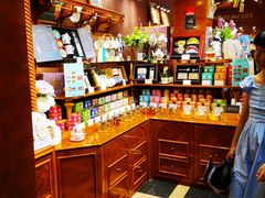 -布兰兔的植物庄园(杭州南宋御街店)
