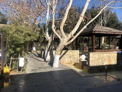 -春晖园度假酒店温泉