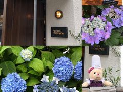 -Pain des Philosophes