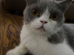 -佳雯宠物医院·皮肤科·内外科(春晓路分院)