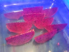 -鑫海汇海鲜烤肉自助(北国商城店)