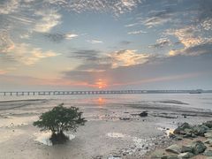 -宝安西湾红树林湿地公园