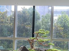 -同庆楼(天鹅酒家店)