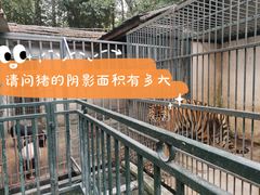 -揭东万竹园旅游景区