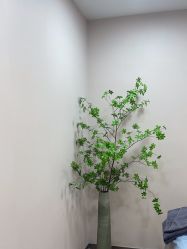 -上海首尔丽格医疗美容医院