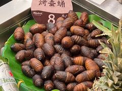 -拾光与烟火丨炭火串烧·自贡小活鲜(西村大院店)