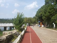 -洛龙公园