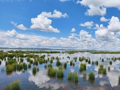 -花湖生态旅游区