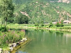 -白河湾生态旅游一条川