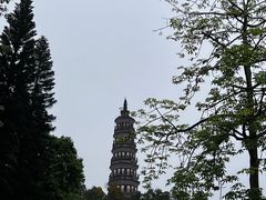 -顺峰山公园