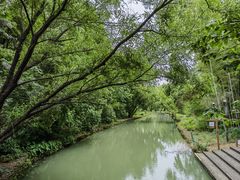 -同里国家湿地公园
