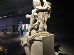 -米兰马尔彭萨国际机场