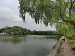 -北陵公园