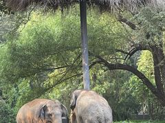 -北京野生动物园