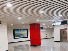 -金鼎轩(亚运村店)