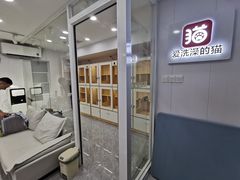 -爱洗澡的猫(天河路店)