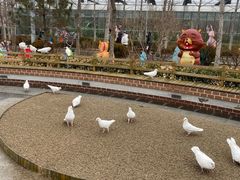 -南宫五洲植物乐园