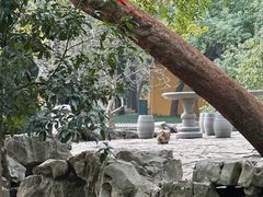-西园戒幢律寺