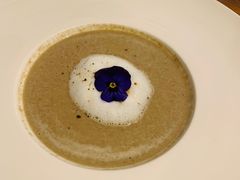 -百好乐宠物友好餐厅(朝外大街店)