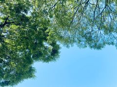 -尚贤河湿地