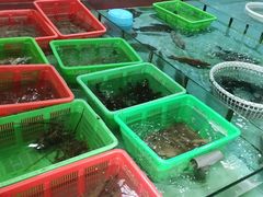 -隆都四季香饭店(碧海路店)