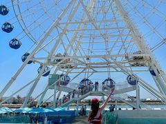 -秦皇岛乐岛海洋王国