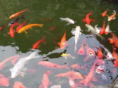 -仙海旅游度假区