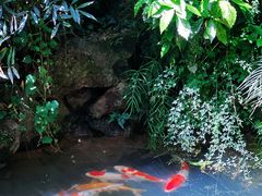 -中国茶叶博物馆(双峰馆区)