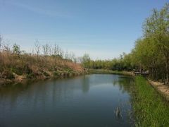 android_upload_pic-新江湾城公园