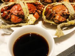 -张江海科雅乐轩聚聚乐