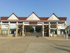 -上海都市菜园