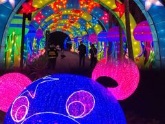 -欢乐海岸椰林沙滩-2025湾区超级灯会