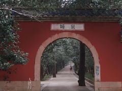 -灵谷景区